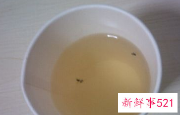 屋里有小虫子怎么办