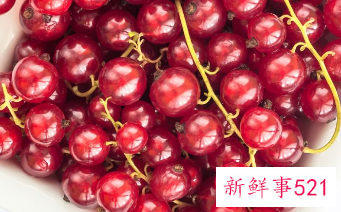 车厘子保存需要放冰箱吗