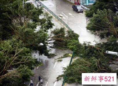 第9号台风卢碧生成