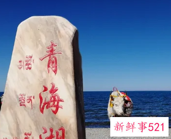 青海湖最适合几月份去