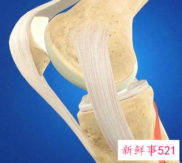 韧带拉伤怎么办恢复快