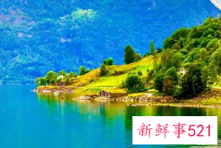 感悟句子致自己