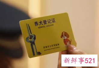 重庆狗证有效期是多长时间