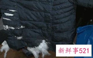 冬天穿羽绒内胆实用么