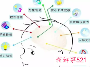 早教的五大能力包括什么