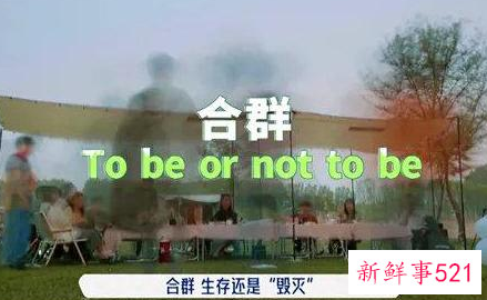 《五十公里桃花坞》起争议,一个尴尬的社交实验