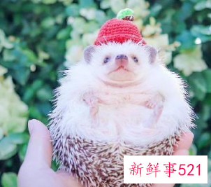 隔着屏幕哄女朋友的句子