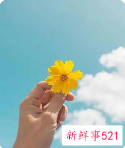 正能量工作心得的精简句子