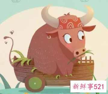 属牛的人能搬家吗