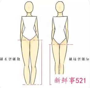 怎么判断自己腿长不长