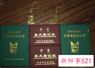 重庆狗证有效期是多长时间