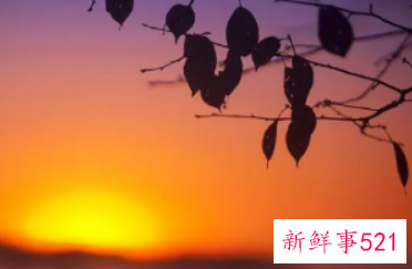 姓王虎年出生男孩子名字