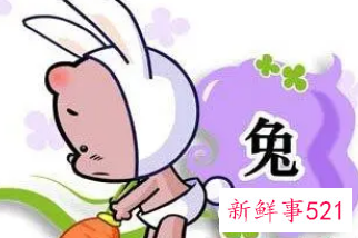 属兔女宝宝取名大全