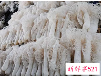 小孩可以吃竹荪吗