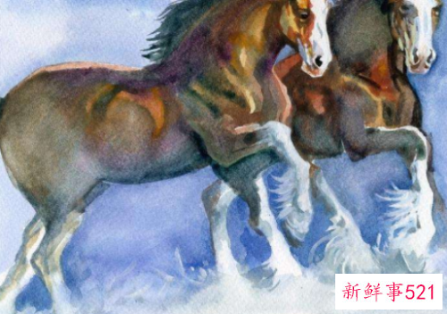 世上最好老公是什么生肖