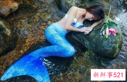 梦见美人鱼有什么征兆