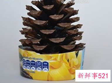 松果能做什么装饰品