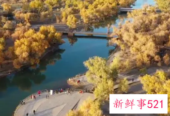 内蒙古额济纳旗新增5例阳性病例