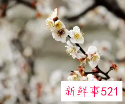 立春快乐的祝福语