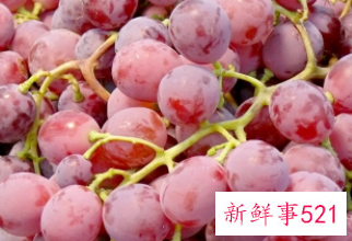 红提的保质期大概有多久