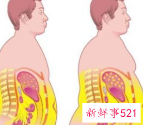 内脏脂肪的克星