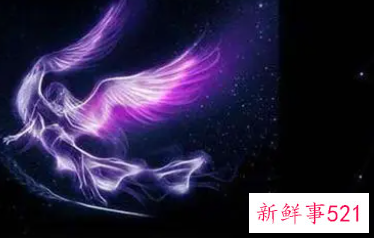 处女座的男生性格特点分析