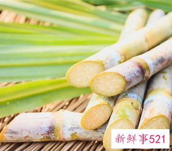 甘蔗的功效与禁忌
