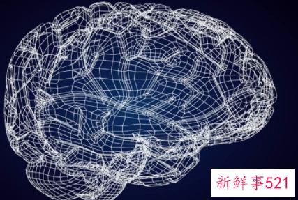 容易发脾气是什么原因