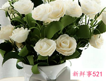 摆假花有什么忌讳