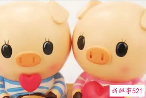 1995年属猪的幸运数字