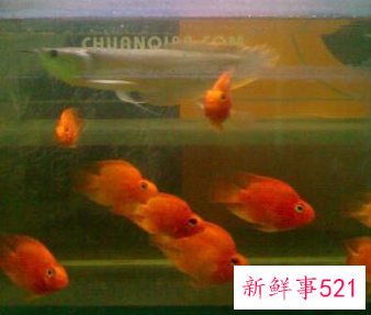 改财运最简单方法