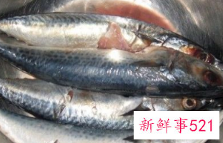 鲅鱼做法大全家常