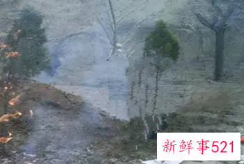 梦见粪坑里有死人是什么意思