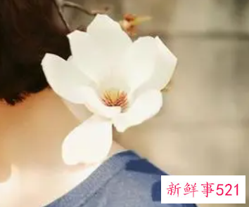 小心待遇优厚后的潜台词