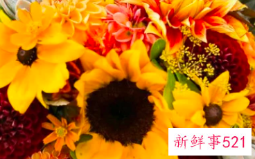 适合居家插的鲜花