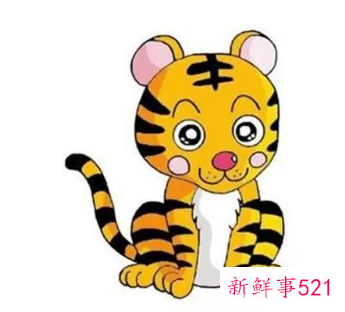 属虎不宜配什么属相