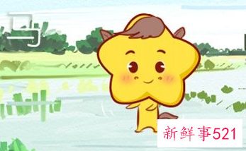 属马女人戴什么招财又旺夫