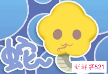 属蛇男人喜欢什么样的女人