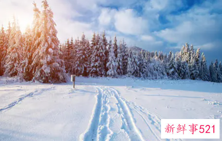 梦见地上一层雪是什么意思