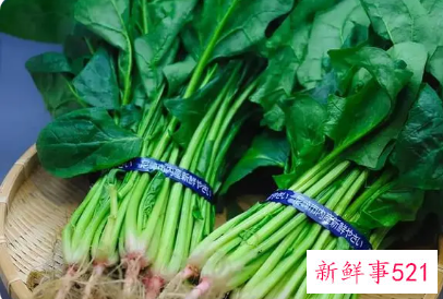 最近蔬菜为什么涨价