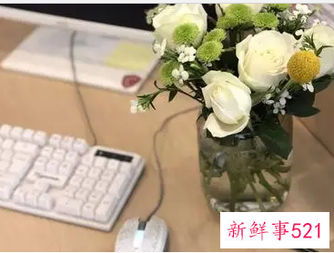 办公室鲜花应该怎么摆放