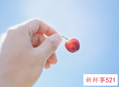 工作感言一句话