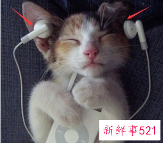 戴耳机有什么危害