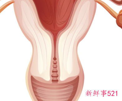 什么运动可以改善卵巢功能