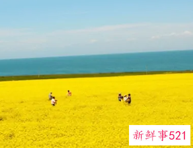 青海湖最适合几月份去