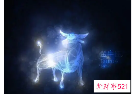 金牛座女在爱情运势