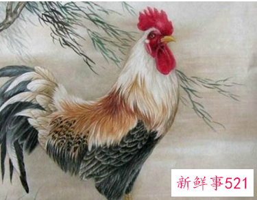 属鸡的贵人是什么生肖