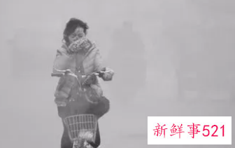 雾霾对大自然的危害