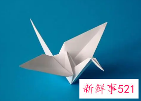 千纸鹤的用意