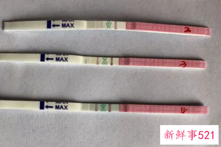 排卵试纸怎么用呢